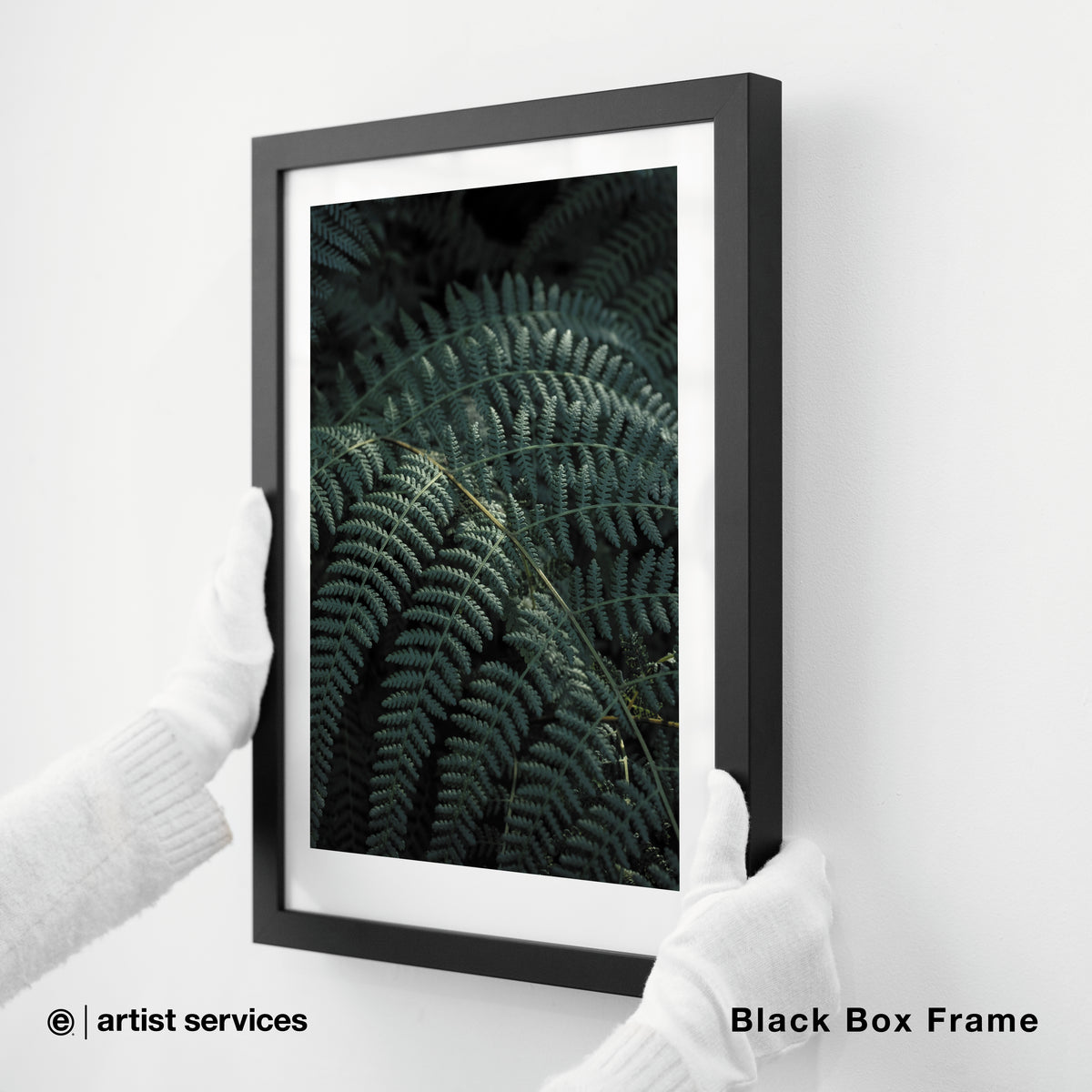Hahnemuhle Photo Satin | SIMPLE FRAMED + STANDARD GLASS | Black Box Frame
