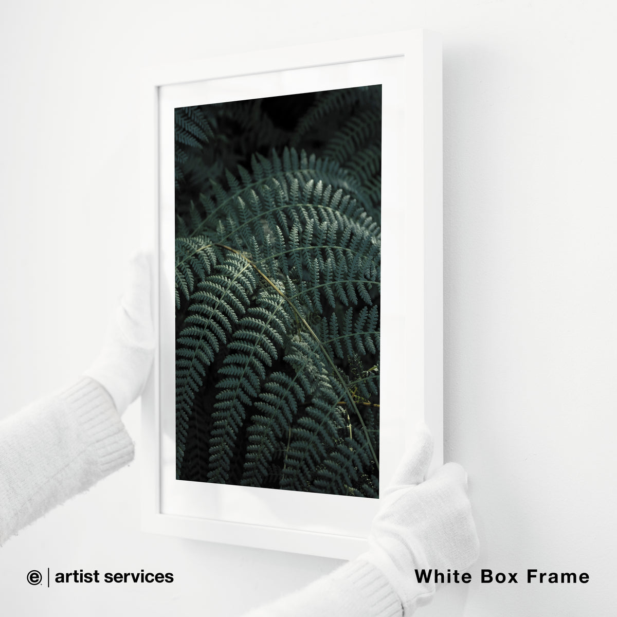 Hahnemuhle Photo Satin | SIMPLE FRAMED + STANDARD GLASS | White Box Frame