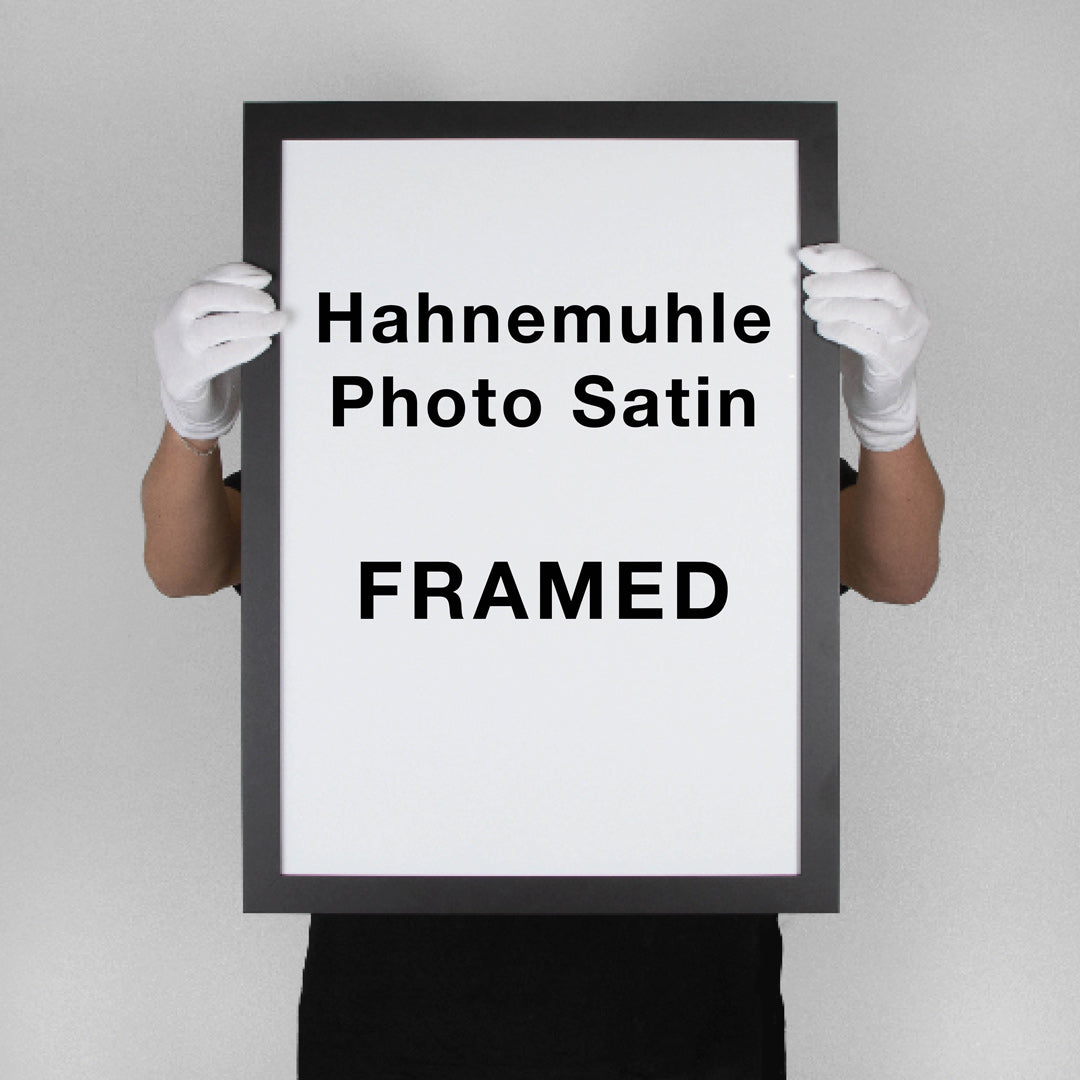 Hahnemuhle Photo Satin Cotton Rag | FRAMED