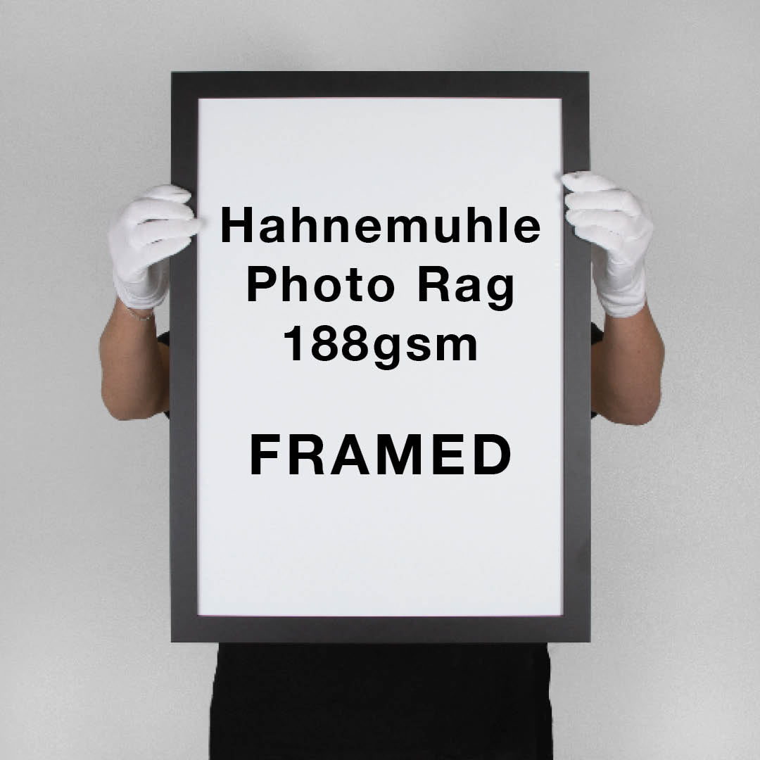 Hahnemuhle Photo Rag 188 | FRAMED