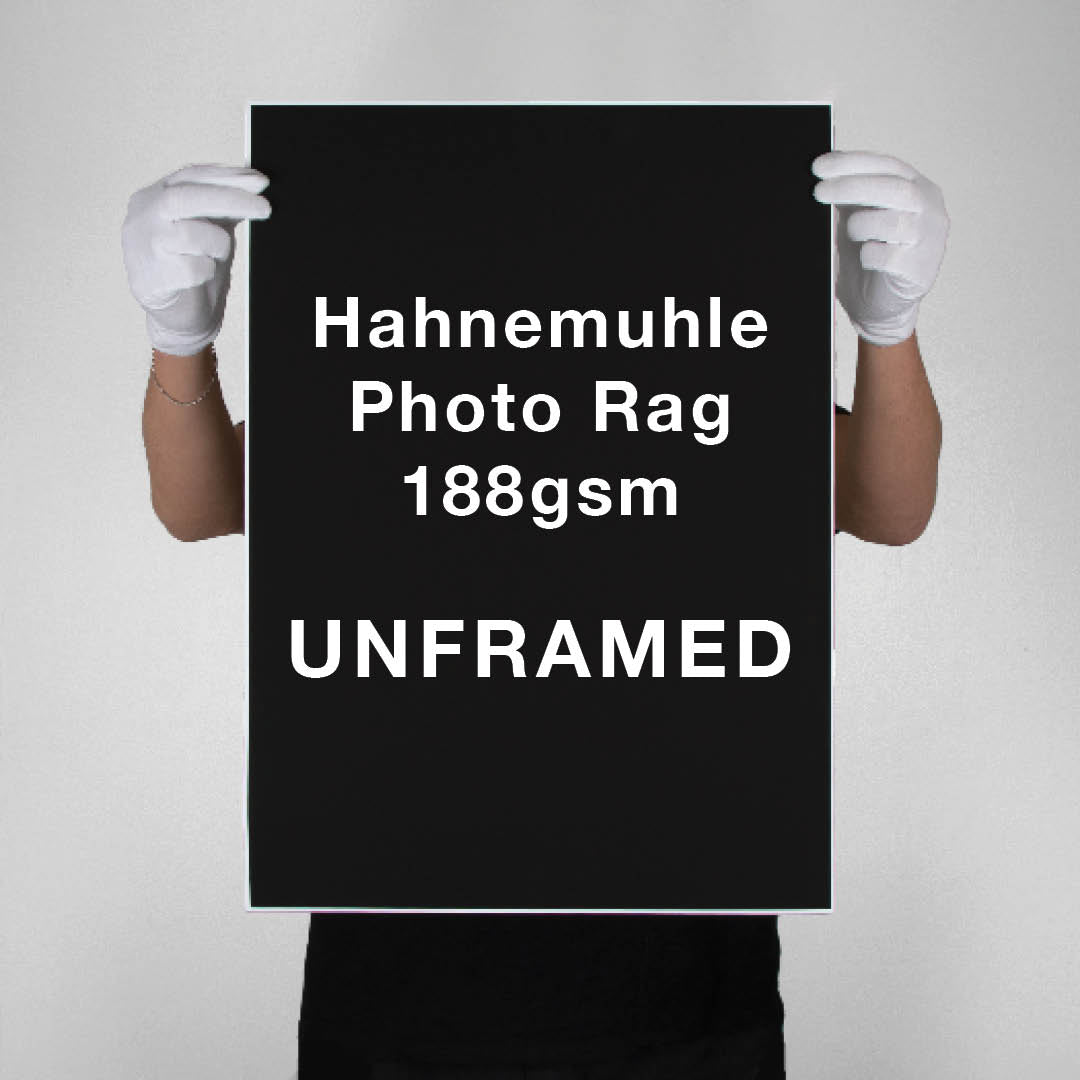 Hahnemuhle Photo Rag 188 | UNFRAMED