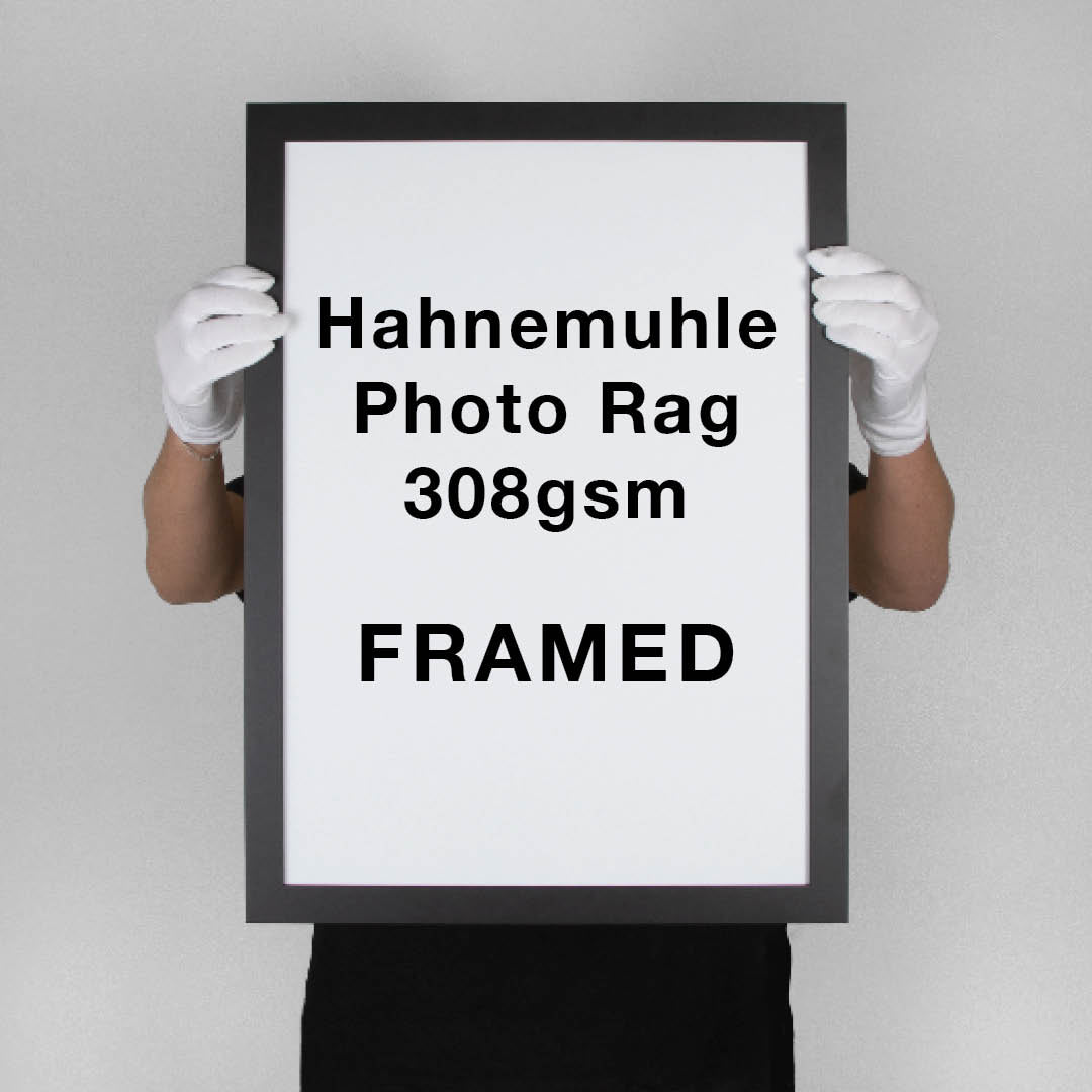 Hahnemuhle Photo Rag 308 | FRAMED
