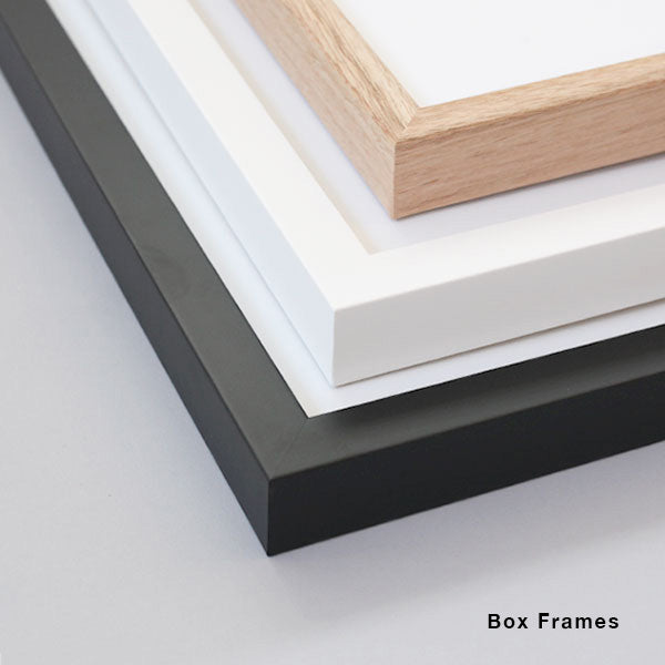 Box Frame - White / Art - Artist Services